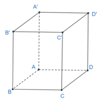 Cho hình lăng trụ đứng ABCD.A'B'C'D' trang 45 SBT Toán 12 Tập 1