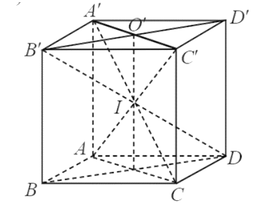 Cho hình lập phương ABCD.A'B'C'D'. Gọi O, O' lần lượt là tâm của các hình vuông ABCD và A'B'C'D'