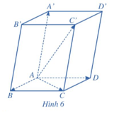 Hoạt động 3 trang 59 Toán 12 Cánh diều Tập 1 | Giải Toán 12