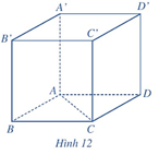 Hoạt động 7 trang 61 Toán 12 Cánh diều Tập 1 | Giải Toán 12